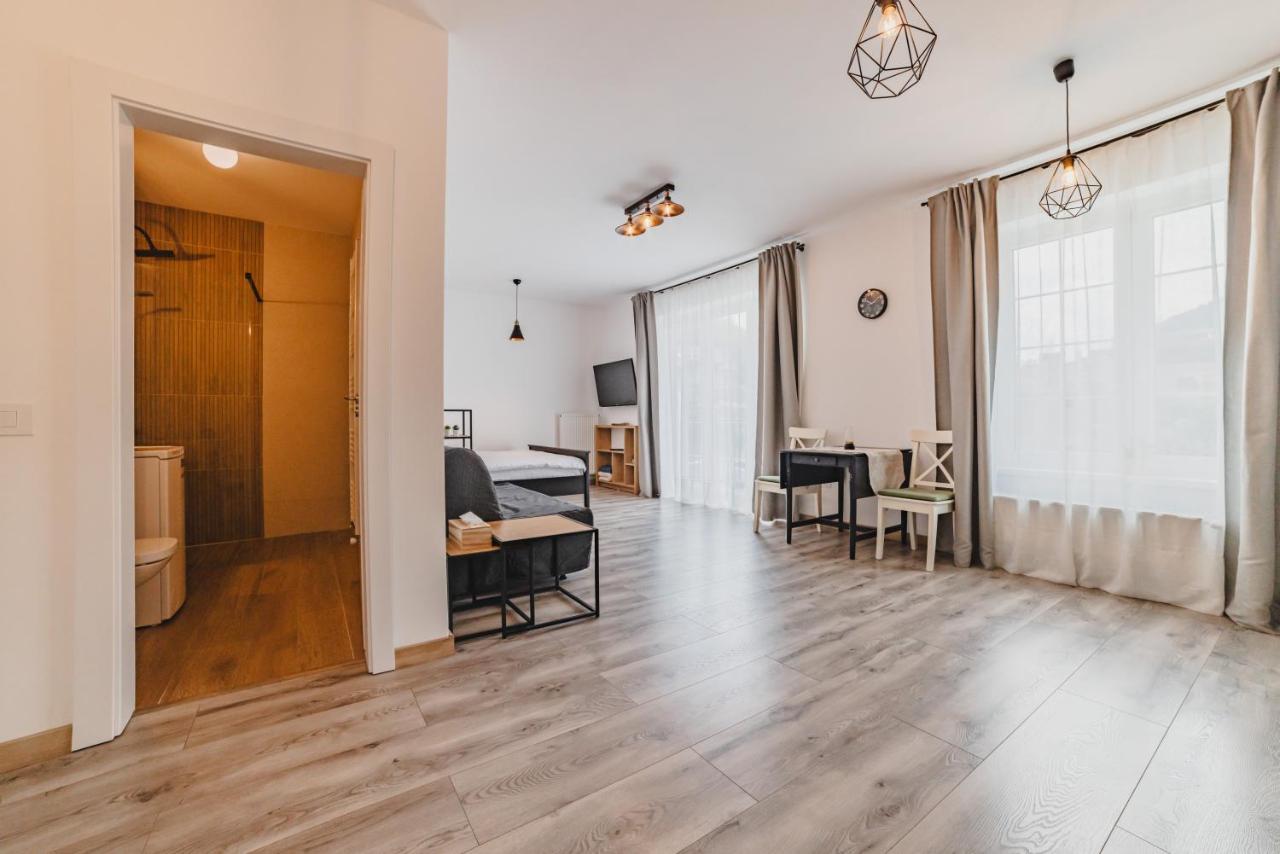 Schiller Studio 64 - Free Private Parking Brasov Exterior photo